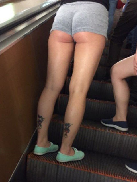 Escalator #c2RmC6Jb